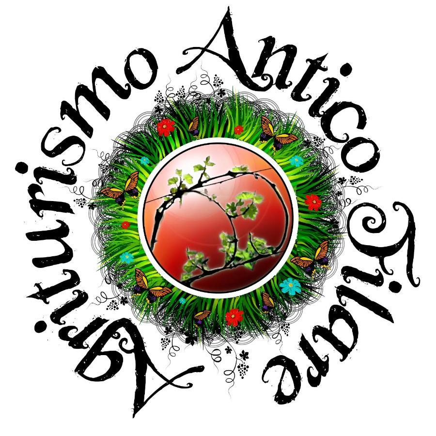 Agriturismo Antico Filare Bianzone Екстериор снимка